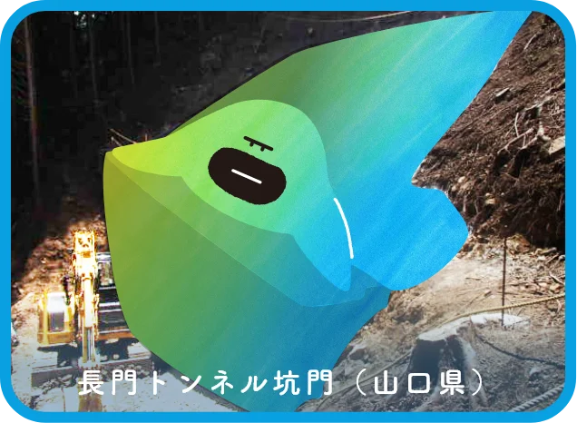 拡大画像